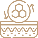 Regeneración natural de la piel 